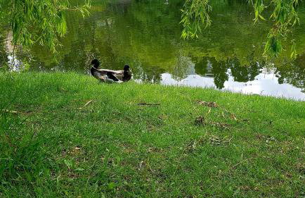 Wola Loft Apartment - Photo 31