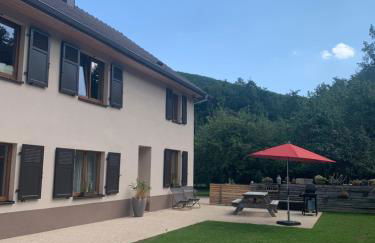 Les Hirondelles - Foto 13