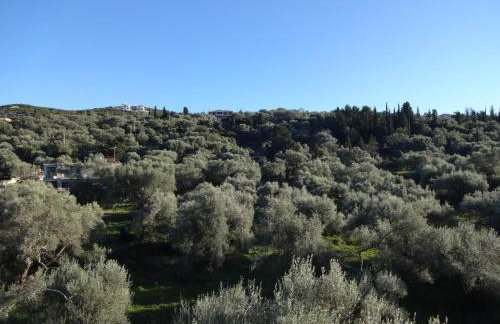 Pansion Filoxenia Apartments & Studios - Foto 42