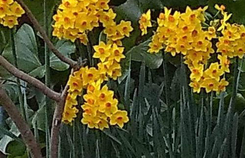 Crispin Cottage - Foto 14