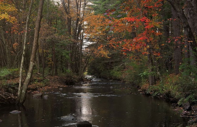 Argyll House by Boutique - Foto 3