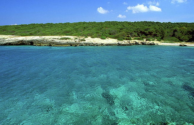 Holiday Home With sea View - Foto 38