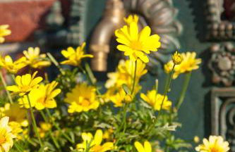 Ferienweingut Jürgen Beth Parterre - Foto 14