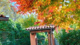 La Frisa Casa Vacanza - Foto 5