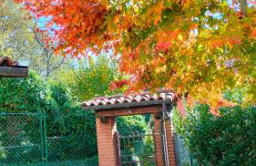 La Frisa Casa Vacanza - Foto 5