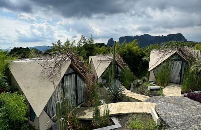 Bosque Geométrico - Foto 71