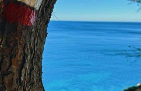 CAN ROMY APPARTEMENT T2F À 20m de la plage de Cala Montgo - Foto 39