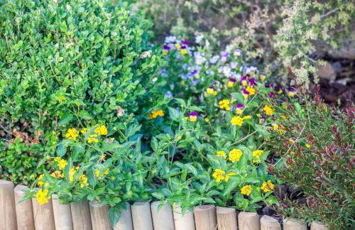 SUPERIOR VILLA MARINA MARE Sauna - Hammam - Pool - 250m from Beach - Foto 51