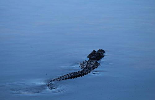 Wonderful Private Home - Sunset Captiva 47 - Foto 56