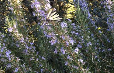 Agriturismo Tenuta La Fratta - Foto 56