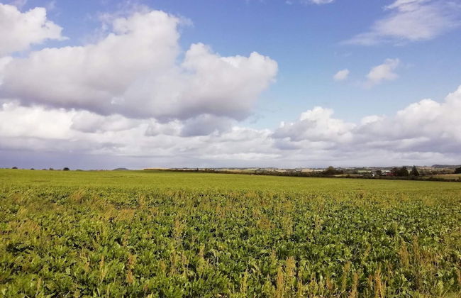 4 Star Holiday Home in Stege - Foto 11