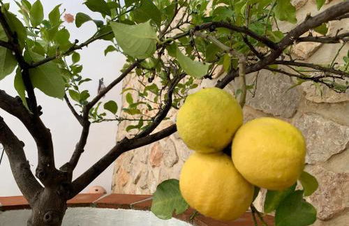 Casa Rural Finca Volando in the mountains of Málaga - Foto 57