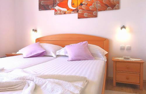 Apartments Bošković - Foto 26