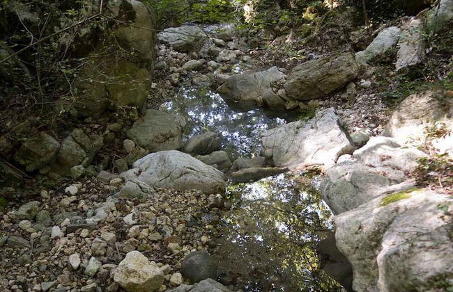 Oak Leaf Residences - Foto 18