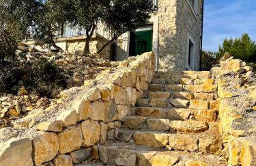 Villa Bepina, surrounded by sea, olive, vineyard - Photo 7