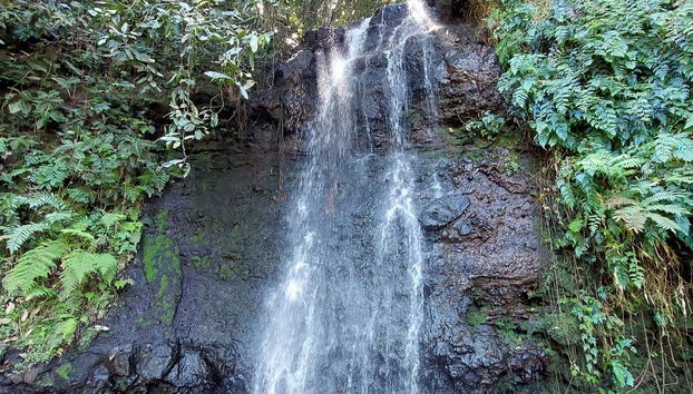 Private Tour of Tahiti - Foto 5