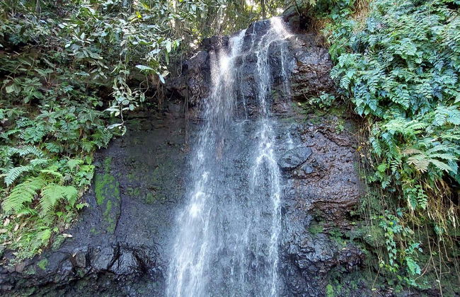 Private Tour of Tahiti - Photo 9