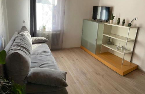 Schrammi's Ferienwohnung - Foto 10