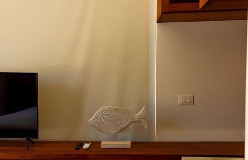 MAR DÁ LIBERDADE com Amerigo Vespucci - Foto 72