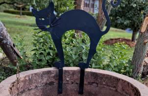 Die 2 Schwestern - Foto 10