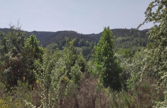 Pretty Holiday Home in Suhl Right Next to the Forest - Foto 40