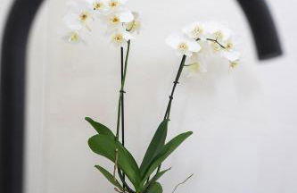 Pueblo viejo boutique house - Foto 48