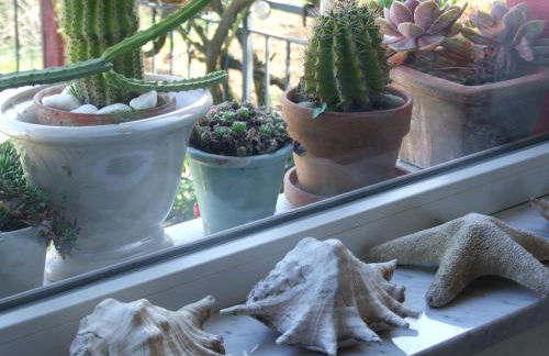 Lo Chalet sul Golfo - Foto 15