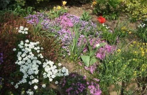 Holiday Home Mayer in Oberkirch by Interhome - Foto 35