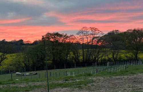 Luxury Studio Nestled in the Sussex Countryside - Foto 27