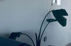 Apartments San Ignacio de Loyola - Photo 7