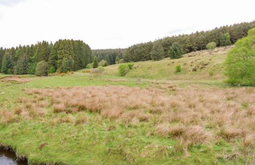 Shepherds Burn Cottage - Foto 31