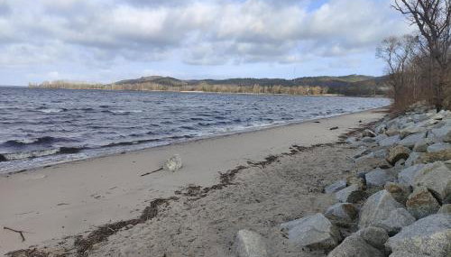 Domki Magnolia - Foto 2