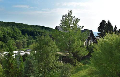 holiday home in the Thuringian Forest with roof - Foto 22