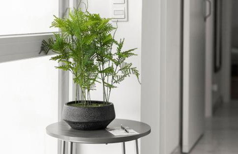 Lit Living Deluxe Apartments Wörth - Parking - Box Spring - BBQ - Balcony - Foto 13