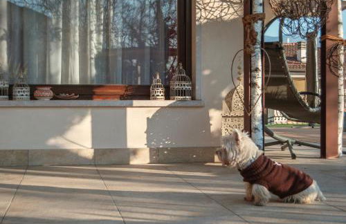 WELCOME TRAVELLER FRIDA's APARTMENt - Foto 39