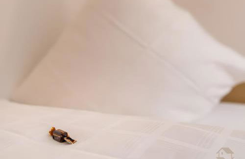 Haus Bergfrieden - Foto 23