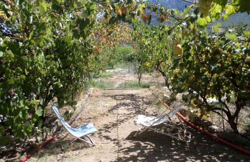 Pinnettu sardo tipica abitazione sarda in ecosistema insetti e animaletti simpatici in condivisione bagno esterno a 10metri Leggere attentamente Prima di prenotare - Foto 47