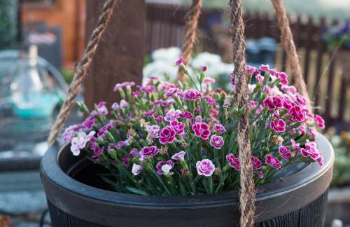 Enlli Fach cabin sleep's 2 adults and 2 children 2 dogs welcome not suitable for contract workers due to parking height restrictions - Photo 39