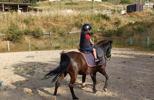 Villa Giulia - Cilento - Giungano - Foto 51