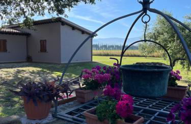 Le Ghiande - Foto 29