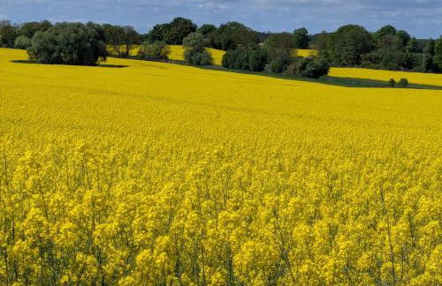 Oberdeck Ostsee - Foto 13