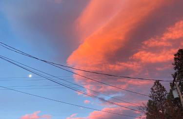 Newer Cozy Guest Cottage with Saltwater Spa! - Foto 22