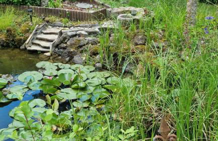 Casa La Vie - Moderne Apartments in ruhiger Lage nahe Frankfurt - Foto 43