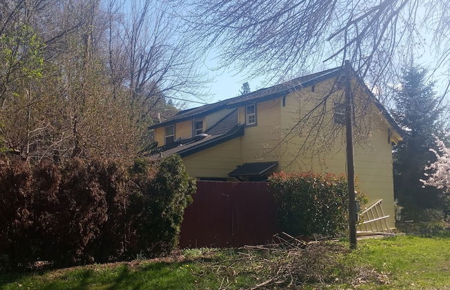 Bigfoot RV & Cabins Park - Foto 47