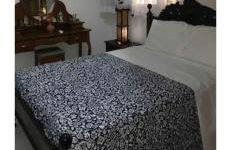 Solar da Mangueira - Photo 21