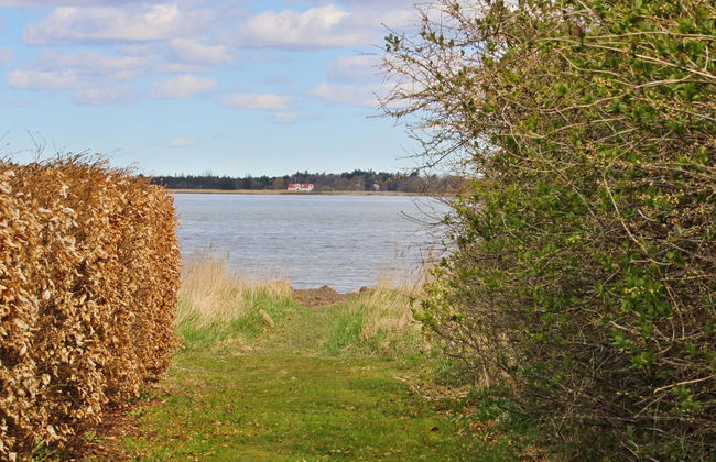 "Bendine" - 100m to the fjord - Foto 26