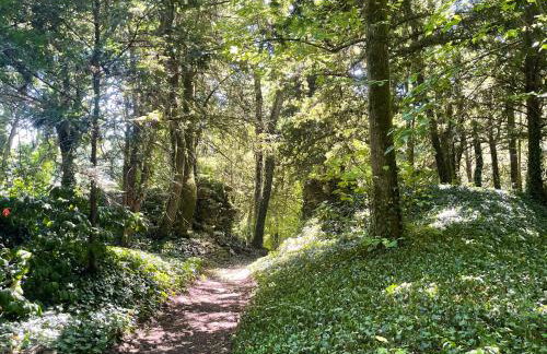 Relais des Hautes Roches - Foto 3