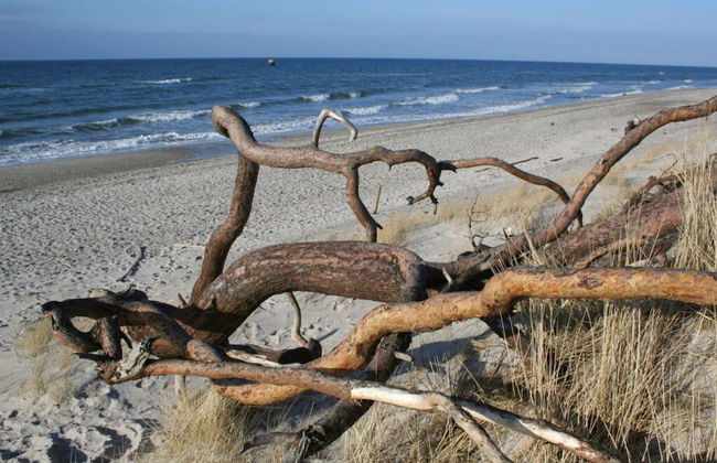 In the Villa Wiesenweg - Foto 17