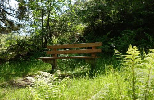 Ferienwohnung Werraquell Hütte - Foto 21
