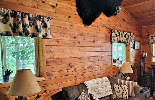 Butler's Bay Teal Lake Cabin - Photo 10